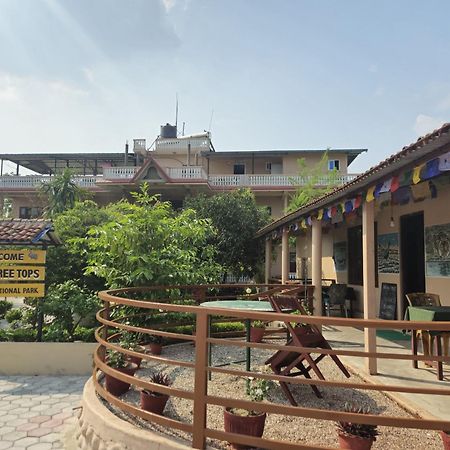 Hotel Tree Tops Sauraha Εξωτερικό φωτογραφία
