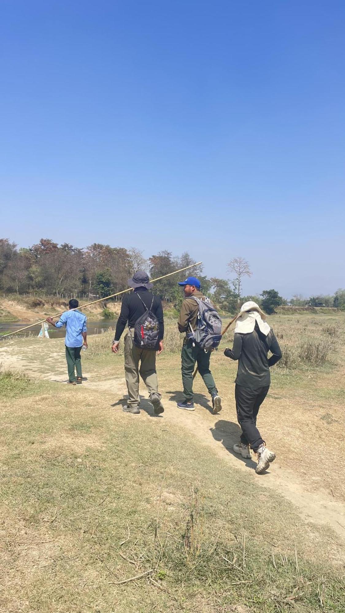 Hotel Tree Tops Sauraha Εξωτερικό φωτογραφία